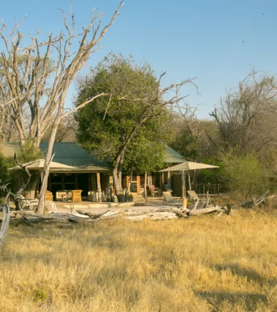 toms little hide lodge view zimbabwe yellow zebra safaris