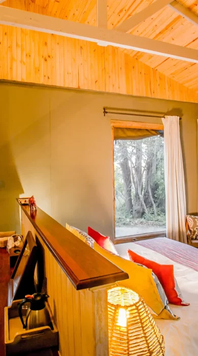 toms little hide bedroom zimbabwe yellow zebra safaris