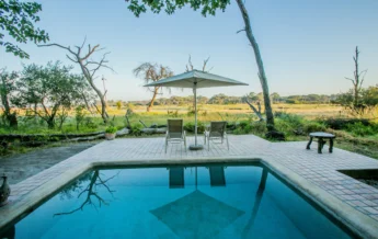 toms little hide pool zimbabwe yellow zebra safaris