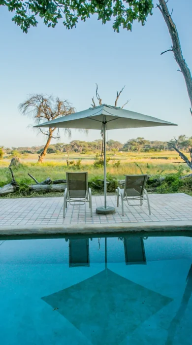 toms little hide pool zimbabwe yellow zebra safaris