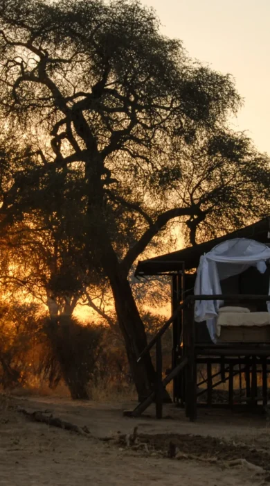 Guest tent, Jozibanini Camp, Hwange, Zimbabwe