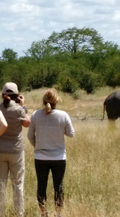 Walking safari, Jozibanini Camp, Hwange, Zimbabwe