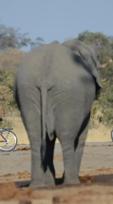 Mountain biking, Jozibanini Camp, Hwange, Zimbabwe