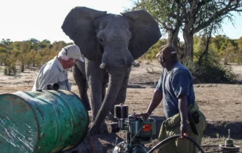 Pump run, Jozibanini Camp, Hwange, Zimbabwe