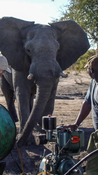 Pump run, Jozibanini Camp, Hwange, Zimbabwe
