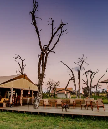 the private hide outside view zimbabwe yellow zebra safaris