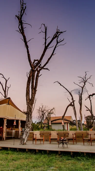 the private hide outside view zimbabwe yellow zebra safaris