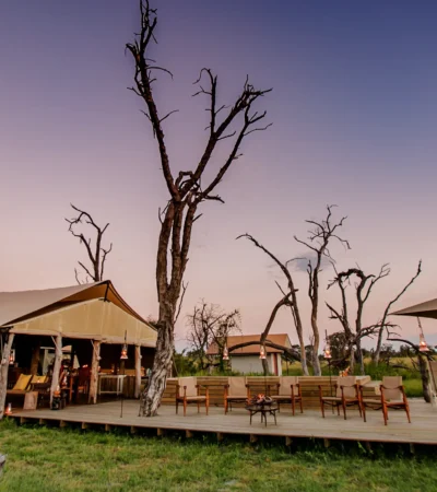 the private hide outside view zimbabwe yellow zebra safaris