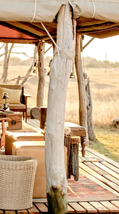 the private hide main area zimbabwe yellow zebra safaris