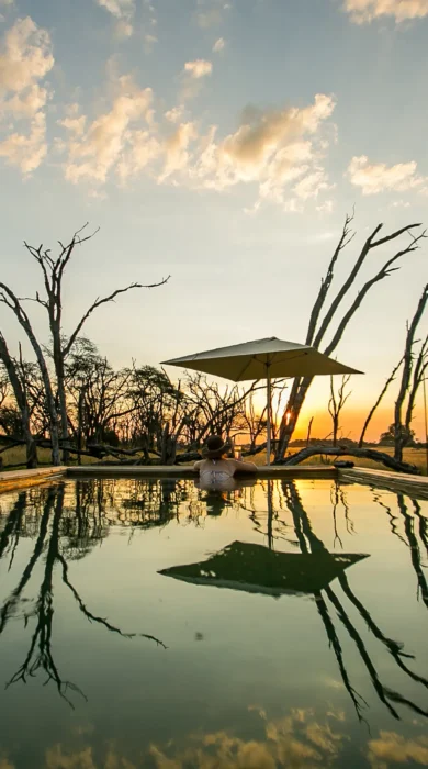 the private hide pool view zimbabwe yellow zebra safaris