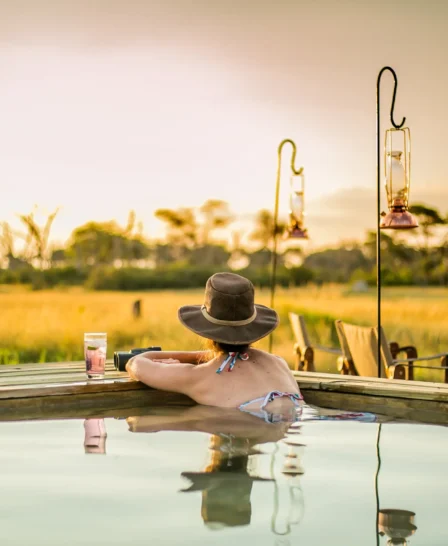 the private hide pool zimbabwe yellow zebra safaris