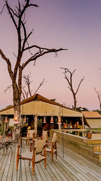 the private hide outside zimbabwe yellow zebra safaris