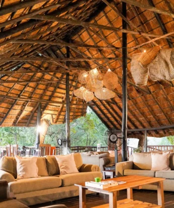 vundu camp main area zimbabwe yellow zebra safaris