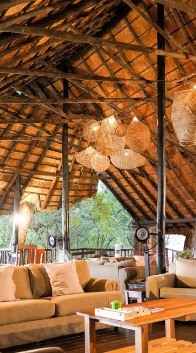 vundu camp main area zimbabwe yellow zebra safaris