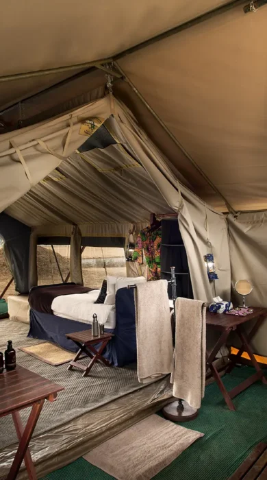 ze tent 08