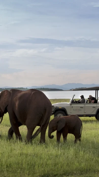 Game Drive, Bumi Hills, Lake Kariba, Zimbabwe