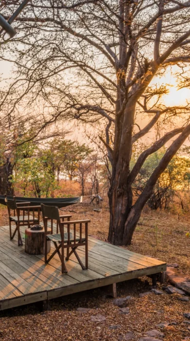 changa safari camp deck zimbabwe yellow zebra safaris