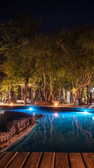 changa safari camp pool zimbabwe yellow zebra safaris