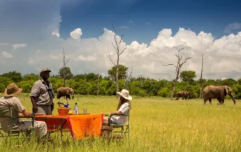 RhinoSafariCamp=A005