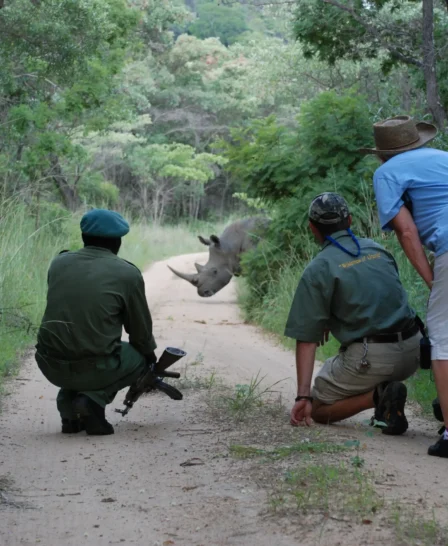 amalinda camp bush walk zimbabwe yellow zebra safaris