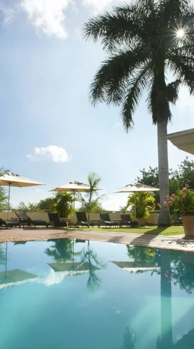 Ilala Lodge swimming pool