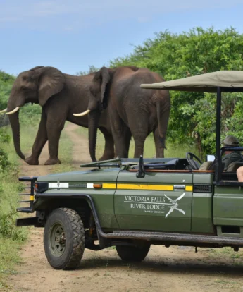 Victoria Falls River Lodge 9