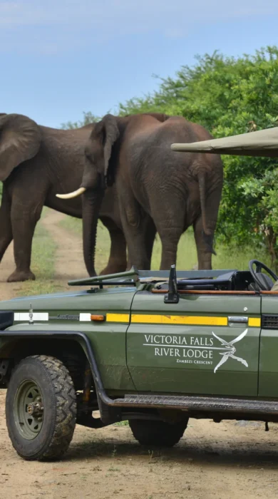 Victoria Falls River Lodge 9
