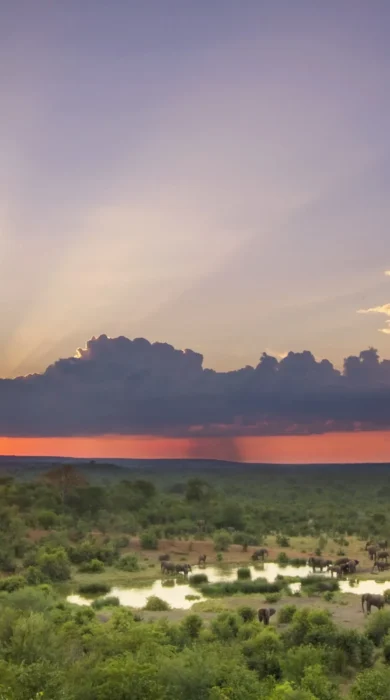 Sunset from the Buffalo Bar at Victoria Falls Safari Lodge