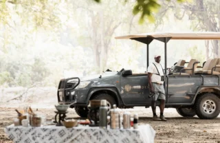 Game Drive, Little Ruckomechi, Mana Pools, Zimbabwe