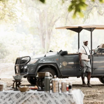 Game Drive, Little Ruckomechi, Mana Pools, Zimbabwe