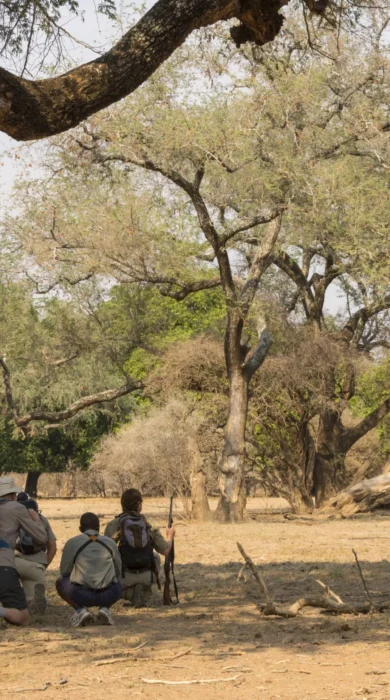 walking safaris zimbabwe