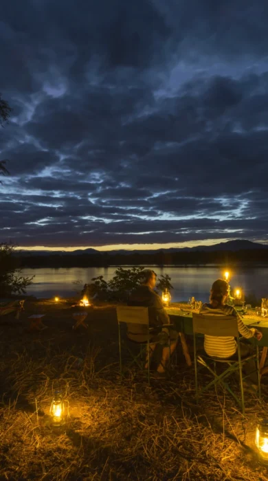 Safari dinner