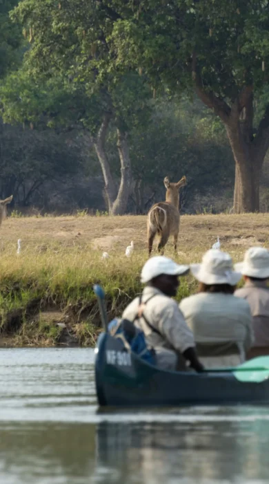 Canoeing in zimbabwe