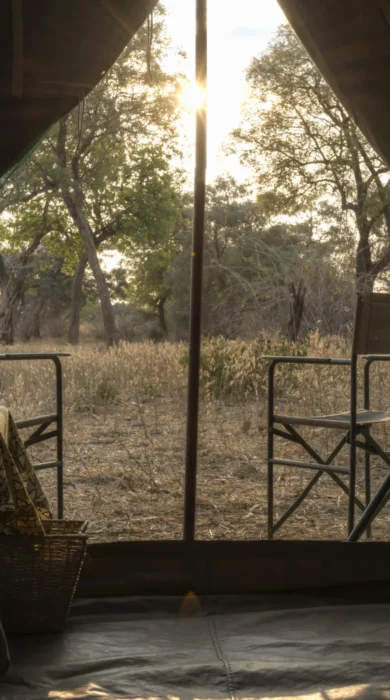 safari tent room