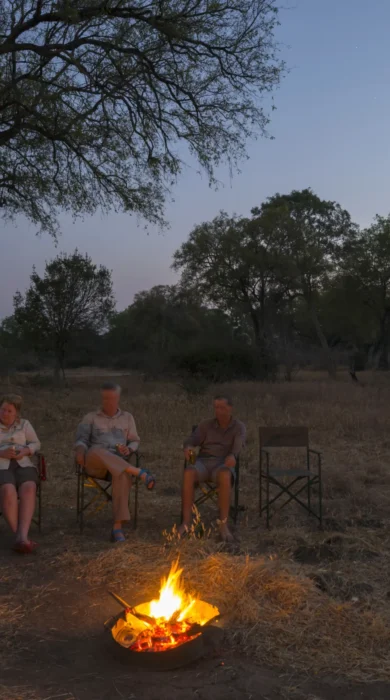 safari bush fire