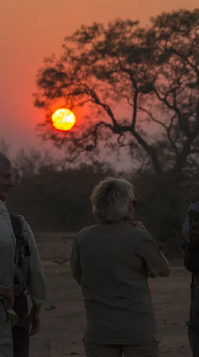 Sunset africa