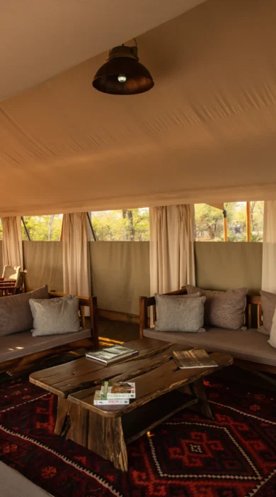 sapi explorers camp main area zimbabwe yellow zebra safaris