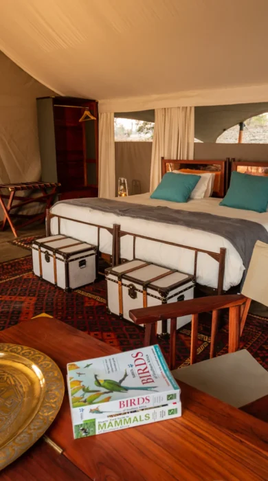 sapi explorers camp double room zimbabwe yellow zebra safaris