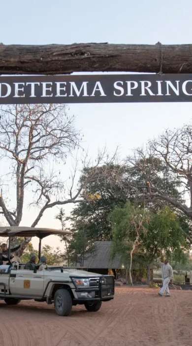 game drive, deteema springs camp, hwange national park, zimbabwe