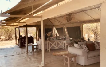 ingwe pan camp lounge yellow zebra safaris