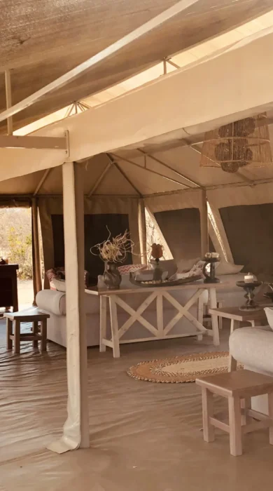 ingwe pan camp lounge yellow zebra safaris
