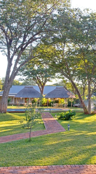garden, pioneers victoria falls, zimbabwe