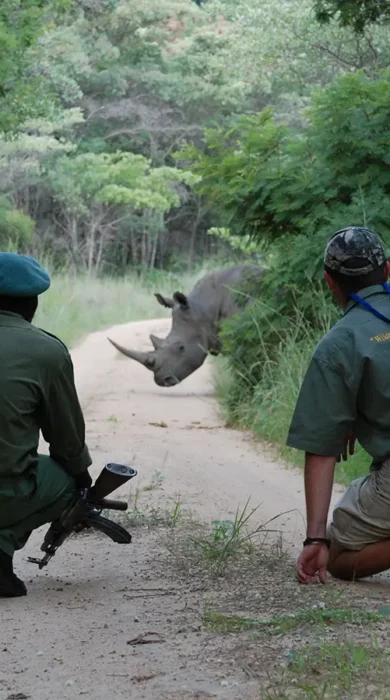 rhino trekking, matobo national park, zimbabwe safaris