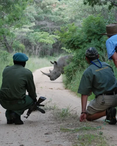 rhino trekking, matobo national park, zimbabwe safaris