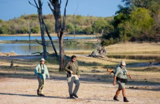 walking safari, lake kariba and matusadona national park, zimbabwe