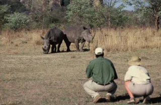 walking safaris, matobo national park, zimbabwe