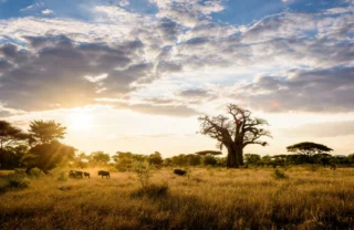 sunset in gonarezhou national park, zimbabwe safaris
