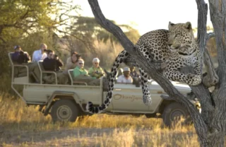 leopard game drive, central namibia safari holidays