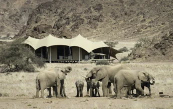 Hoanib Skeleton Coast 2014 08 316