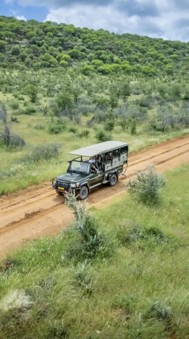 namibias known highlights, Ongava Lodge, game drive